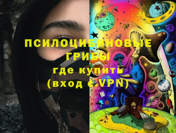 PSILOCYBIN Лихославль