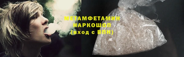 прущие грибы Ладушкин