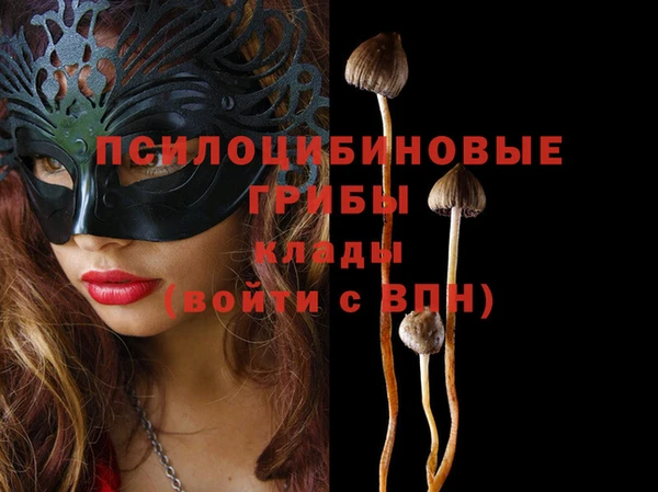 2c-b Лиски