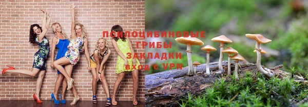 PSILOCYBIN Лихославль