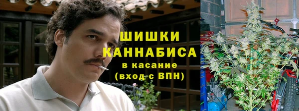 сатива Липки