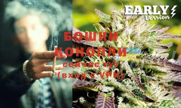 PSILOCYBIN Лихославль