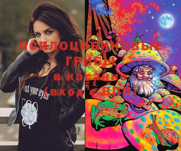 PSILOCYBIN Лихославль