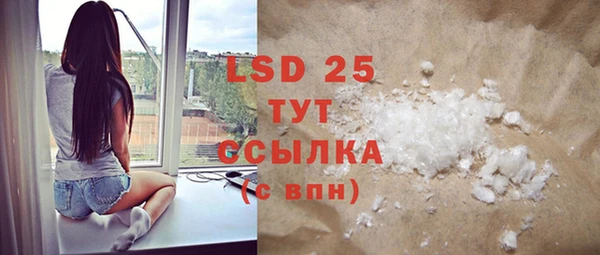 PSILOCYBIN Лихославль