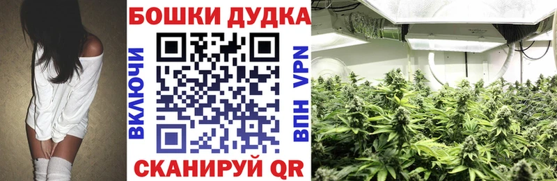 Бошки Шишки VHQ  купить наркотики цена  Никольское 